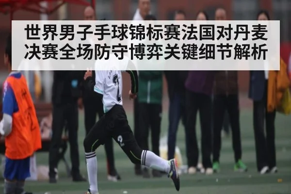 世界男子手球锦标赛法国对丹麦决赛全场防守博弈关键细节解析